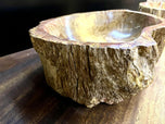 CONTEMPORARY, PETRIFIED WOOD SINK, BEIGE, BROWN, YELLOW, PINK, 2024