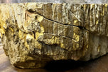 CONTEMPORARY, PETRIFIED WOOD SINK, BEIGE, BROWN, YELLOW, PINK, 2024