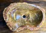 CONTEMPORARY, PETRIFIED WOOD SINK, BEIGE, BROWN, YELLOW, PINK, 2024