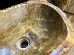 CONTEMPORARY, PETRIFIED WOOD SINK, BEIGE, BROWN, YELLOW, PINK, 2024