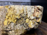CONTEMPORARY, PETRIFIED WOOD SINK, BEIGE, BROWN, YELLOW, PINK, 2024