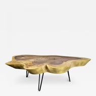 ORGANIC MODERN SUAR TREE COFFEE TABLE, BLACK METAL FEET