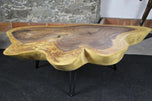 ORGANIC MODERN SUAR TREE COFFEE TABLE, BLACK METAL FEET