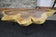 ORGANIC MODERN SUAR TREE COFFEE TABLE, BLACK METAL FEET