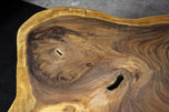 ORGANIC MODERN SUAR TREE COFFEE TABLE, BLACK METAL FEET