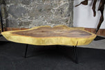ORGANIC MODERN SUAR TREE COFFEE TABLE, BLACK METAL FEET