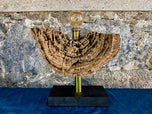 MODERN, ORGANIC, DRIFTWOOD TABLE LAMP, LED