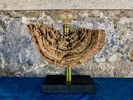 MODERN, ORGANIC, DRIFTWOOD TABLE LAMP, LED