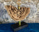 MODERN, ORGANIC, DRIFTWOOD TABLE LAMP, LED