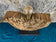 MODERN, ORGANIC, DRIFTWOOD TABLE LAMP, LED