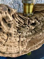 MODERN, ORGANIC, DRIFTWOOD TABLE LAMP, LED