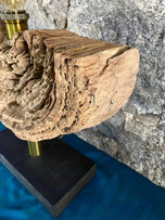 MODERN, ORGANIC, DRIFTWOOD TABLE LAMP, LED
