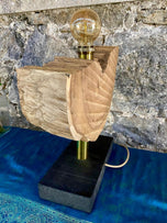 MODERN, ORGANIC, DRIFTWOOD TABLE LAMP, LED