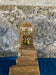 MODERN, ORGANIC, DRIFTWOOD TABLE LAMP, LED