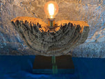 MODERN, ORGANIC, DRIFTWOOD TABLE LAMP, LED