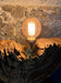 MODERN, ORGANIC, DRIFTWOOD TABLE LAMP, LED