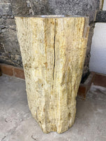 ORGANIC MODERN, PETRIFIED WOOD, PEDESTAL SINK, INDONESIA