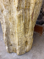 ORGANIC MODERN, PETRIFIED WOOD, PEDESTAL SINK, INDONESIA