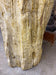 ORGANIC MODERN, PETRIFIED WOOD, PEDESTAL SINK, INDONESIA