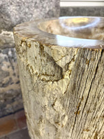 ORGANIC MODERN, PETRIFIED WOOD, PEDESTAL SINK, INDONESIA