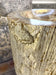 ORGANIC MODERN, PETRIFIED WOOD, PEDESTAL SINK, INDONESIA