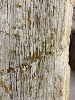 ORGANIC MODERN, PETRIFIED WOOD, PEDESTAL SINK, INDONESIA
