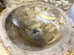 ORGANIC MODERN, PETRIFIED WOOD, PEDESTAL SINK, INDONESIA