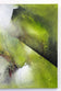 ABSTRACT PAINTING, CRAWFISH VS, TURTLE, ACRYLIC ON CANVAS