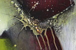ABSTRACT PAINTING, CRAWFISH VS, TURTLE, ACRYLIC ON CANVAS