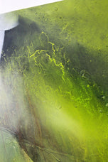 ABSTRACT PAINTING, CRAWFISH VS, TURTLE, ACRYLIC ON CANVAS