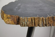 PETRIFIED WOOD SIDE TABLE, STAINLESS STEEL FEET, ORGANIC MODERN, 2021