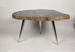 PETRIFIED WOOD SIDE TABLE, STAINLESS STEEL FEET, ORGANIC MODERN, 2021