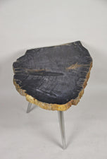 PETRIFIED WOOD SIDE TABLE, STAINLESS STEEL FEET, ORGANIC MODERN, 2021