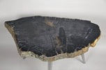 PETRIFIED WOOD SIDE TABLE, STAINLESS STEEL FEET, ORGANIC MODERN, 2021