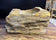 MODERN ORGANIC PETRIFIED WOOD SINGLE SINK, GREY, BROWN, YELLOW TONES, NEW, INDONESIA