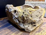 MODERN ORGANIC PETRIFIED WOOD SINGLE SINK, GREY, BROWN, YELLOW TONES, NEW, INDONESIA