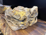 MODERN ORGANIC PETRIFIED WOOD SINGLE SINK, GREY, BROWN, YELLOW TONES, NEW, INDONESIA