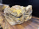 MODERN ORGANIC PETRIFIED WOOD SINGLE SINK, GREY, BROWN, YELLOW TONES, NEW, INDONESIA
