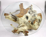 21ST CENTURY, INDONESIA, ROUND TEAK ROOT COFFEE TABLE, GLASS PLATE, ORGANIC MODERN, 2024