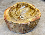 PETRIFIED WOOD SINK, BEIGE, BROWN, YELLOW