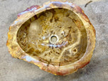 PETRIFIED WOOD SINK, BEIGE, BROWN, YELLOW