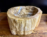 MODERN ORGANIC, PETRIFIED WOOD SINK, GREY, BROWN, BEIGE