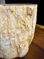 MODERN ORGANIC, PETRIFIED WOOD SINK, GREY, BROWN, BEIGE