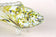 MURANO GLASS FISH SCULPTURE, MULTICOLORED, MID CENTURY, ITALY, CA. 1950