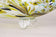 MURANO GLASS FISH SCULPTURE, MULTICOLORED, MID CENTURY, ITALY, CA. 1950