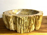 PETRIFIED WOOD SINK, MODERN ORGANIC, GREY, BROWN, BEIGE