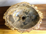 PETRIFIED WOOD SINK, MODERN ORGANIC, GREY, BROWN, BEIGE
