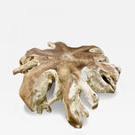 CONTEMPORARY,WOODEN,TEAK ROOT COFFEE TABLE