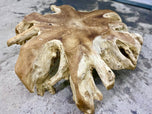CONTEMPORARY,WOODEN,TEAK ROOT COFFEE TABLE