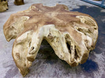 CONTEMPORARY,WOODEN,TEAK ROOT COFFEE TABLE